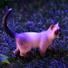 Может заведём...?