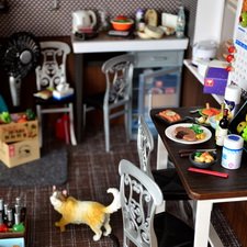 Наша любимая кухонька