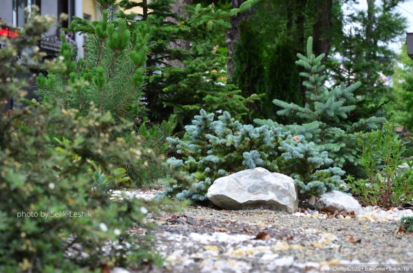 Как решиться на съёмку кукол в людном месте 🤔 (фото 4)