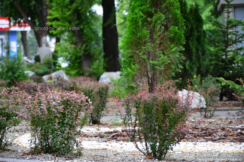 Как решиться на съёмку кукол в людном месте 🤔 (фото 3)