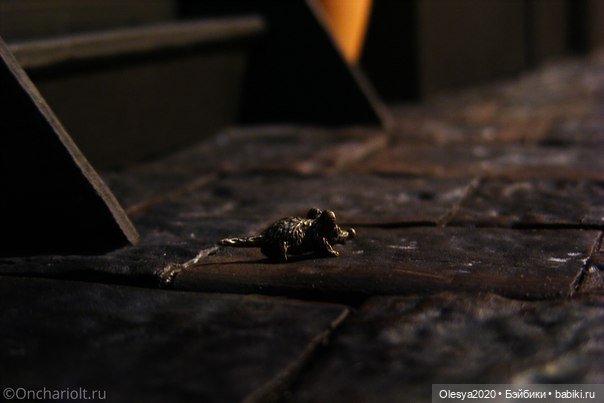 Срочно нужна кошка - мышь в кладовой (фото 4)