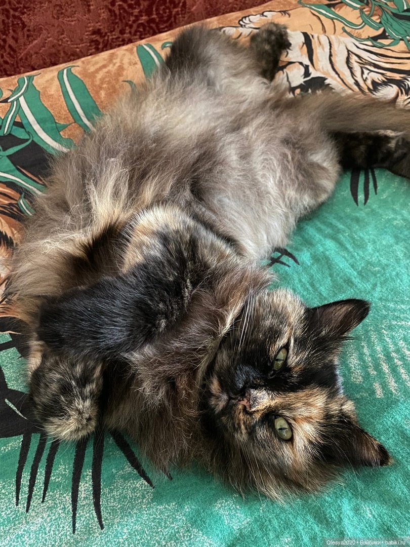 Что я сделала в воскресенье (фото 3)