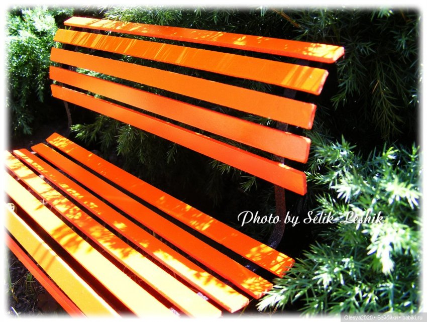 WorkShop of Selik-Leshik (лавочки) 🔨