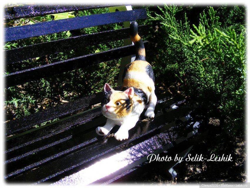 WorkShop of Selik-Leshik (лавочки) 🔨 (фото 7)