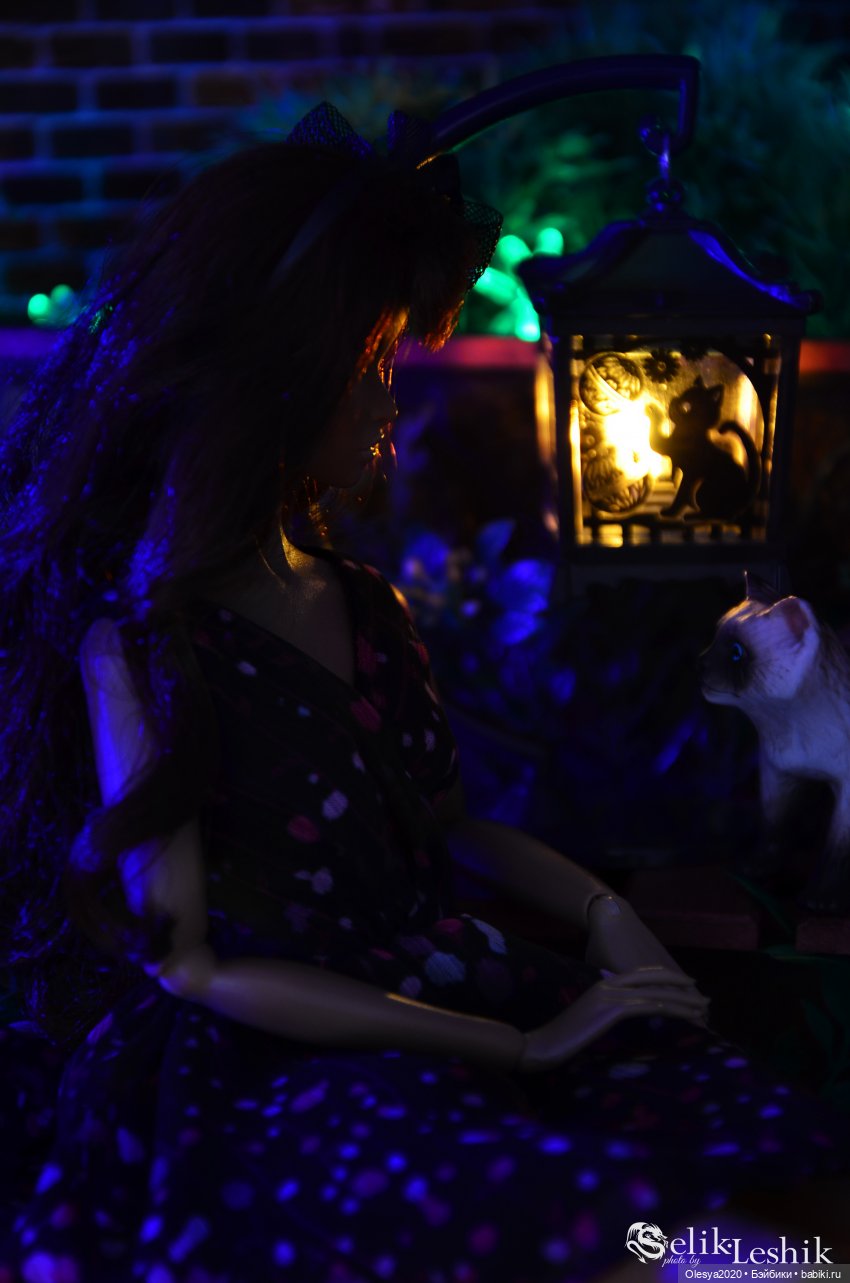 Сколько бы его не кормили, всё равно в парк бегает 😄 (фото 4)