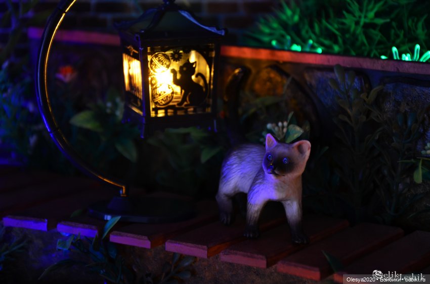 Сколько бы его не кормили, всё равно в парк бегает 😄 (фото 3)