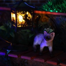 Сколько бы его не кормили, всё равно в парк бегает 😄