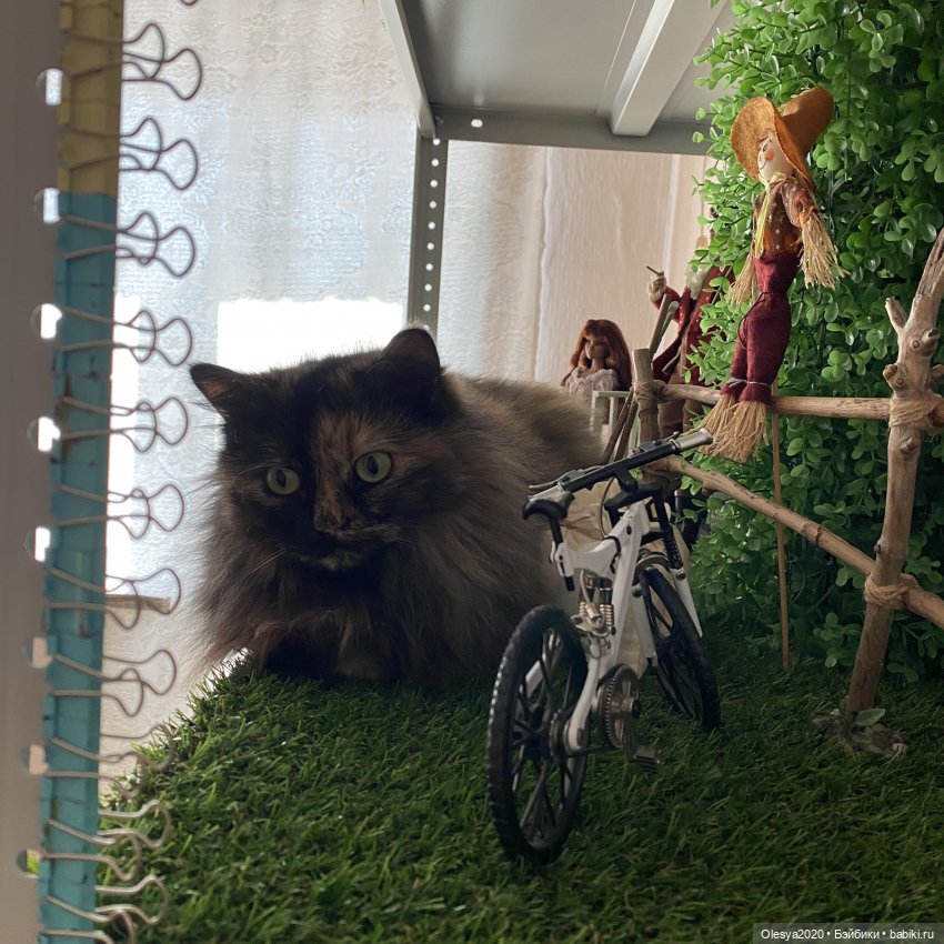 Что было сделано за пол года 😁 + маленькие планы на будущее 🆘