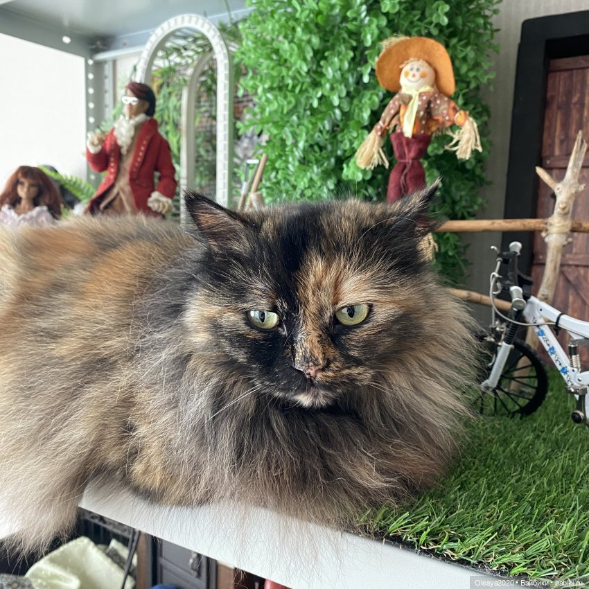 Что было сделано за пол года 😁 + маленькие планы на будущее 🆘