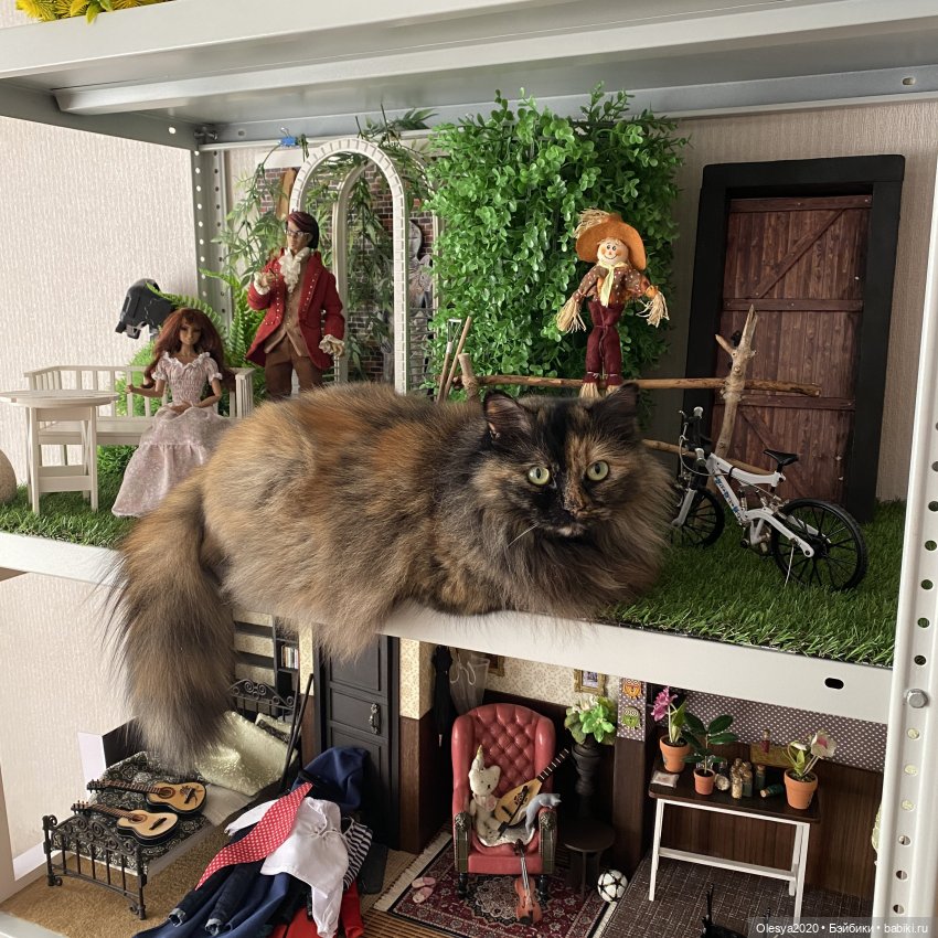 Что было сделано за пол года 😁 + маленькие планы на будущее 🆘