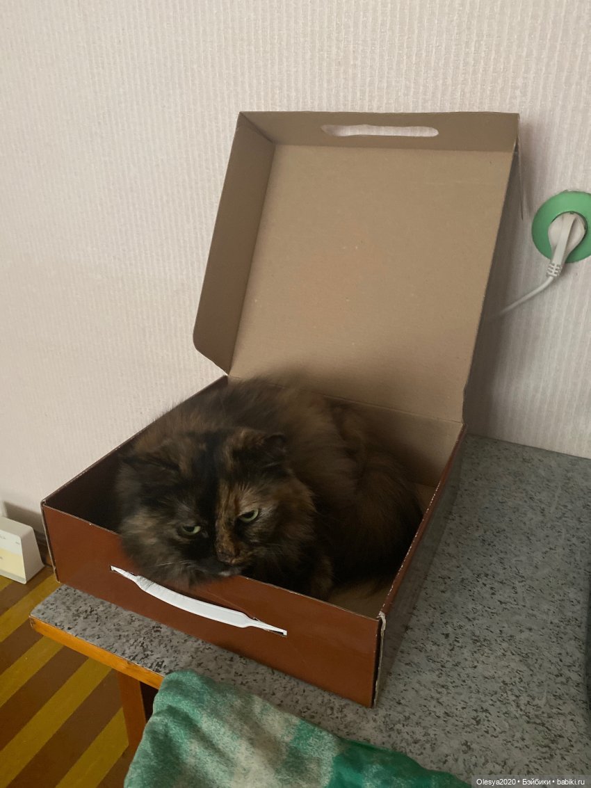 Что было сделано за пол года 😁 + маленькие планы на будущее 🆘