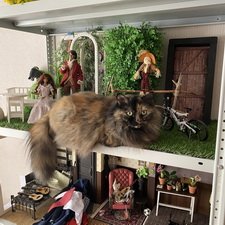 Что было сделано за пол года 😁 + маленькие планы на будущее 🆘