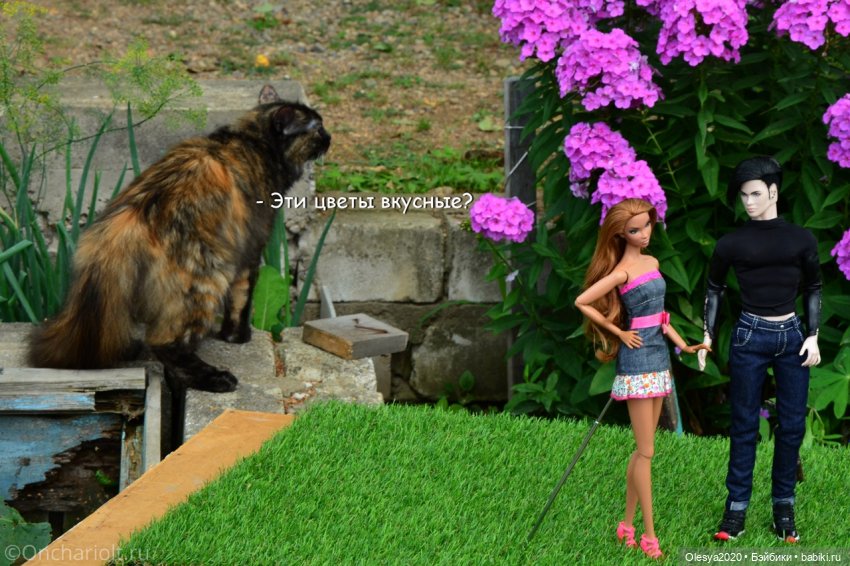 Бист фореве 🤡 "Как мы проводим время в посёлке у родителей" (фото 10)