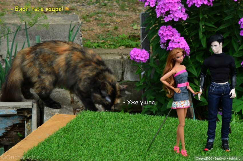 Бист фореве 🤡 "Как мы проводим время в посёлке у родителей"