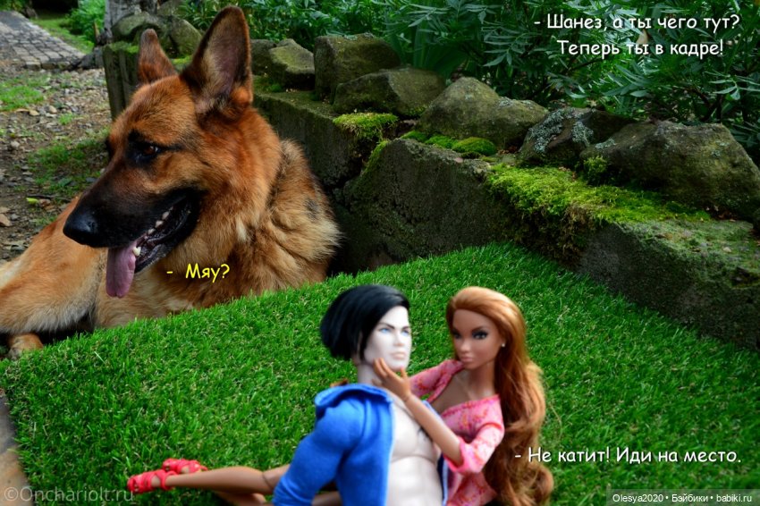 Бист фореве 🤡 "Как мы проводим время в посёлке у родителей"