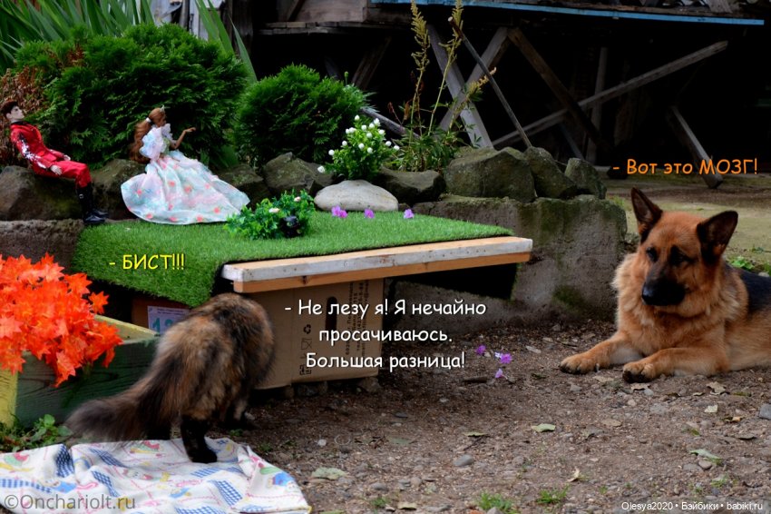 Бист фореве 🤡 "Как мы проводим время в посёлке у родителей"