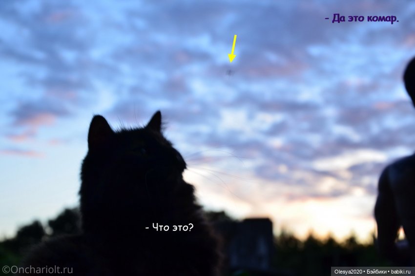 Бист фореве 🤡 "Как мы проводим время в посёлке у родителей"