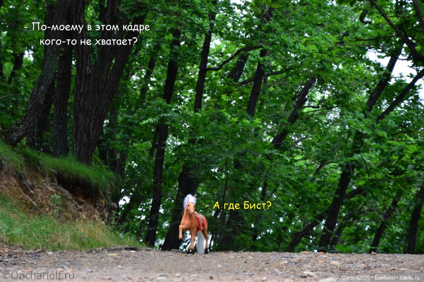 Бист фореве 🤡 "Как мы проводим время в посёлке у родителей"