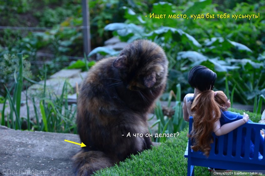 Бист фореве 🤡 "Как мы проводим время в посёлке у родителей"