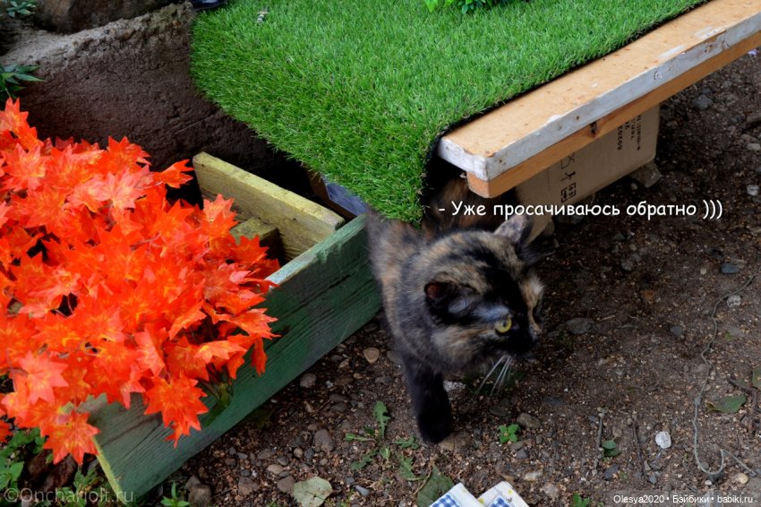 Бист фореве 🤡 "Как мы проводим время в посёлке у родителей"