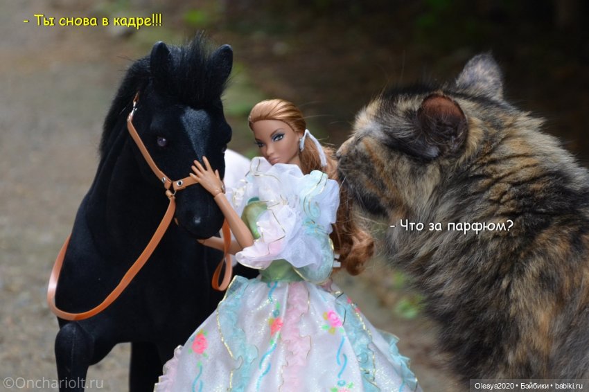 Бист фореве 🤡 "Как мы проводим время в посёлке у родителей"