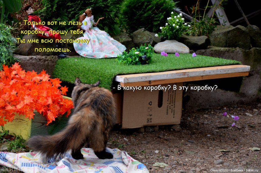 Бист фореве 🤡 "Как мы проводим время в посёлке у родителей"