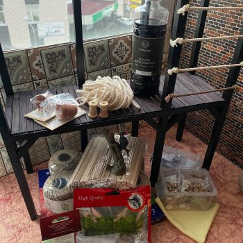 Осенний творческий "ВЖУХ" часть 2 🍁