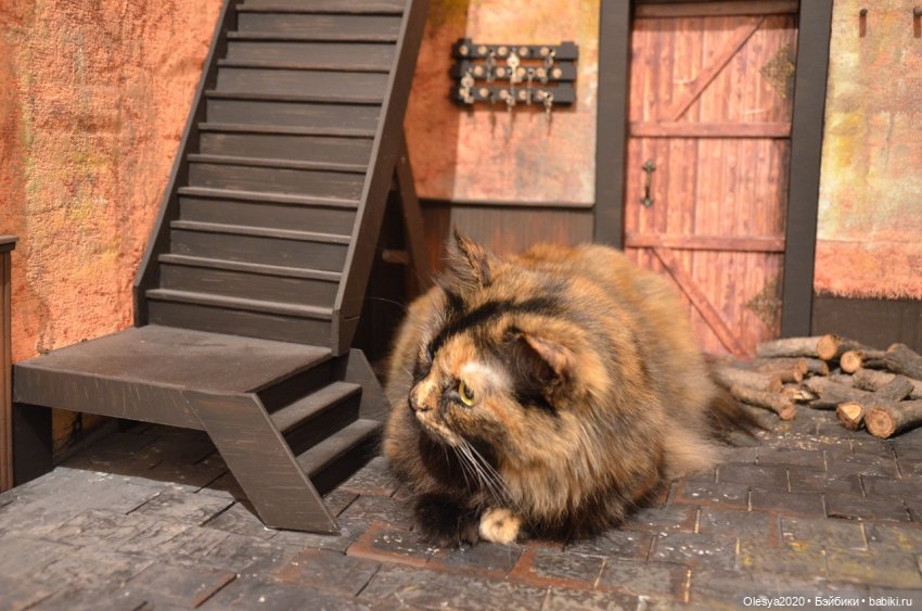 Навалилось "ОГО-ГО" часть 3 (типа новогодняя) ❄