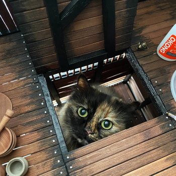 Цветущий "ВАХ-ВАХ-ВАХ" часть 4 🌷