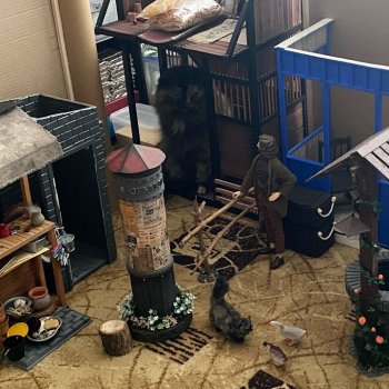 Цветущий "ВАХ-ВАХ-ВАХ" часть 6 (плановая уборка, заключительная) 🌷