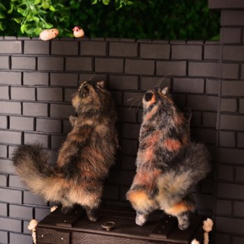 Чумик и Зверька 💬