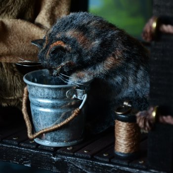 Не всегда удачная 🎣