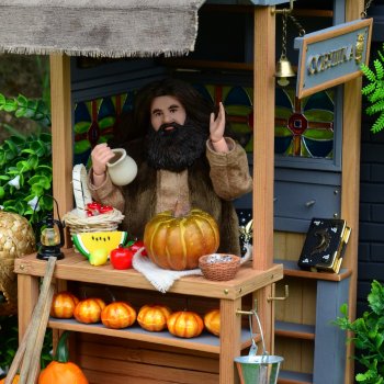 Лавка Хадиса в Хэттонграде 💛