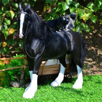 Запускатель 😹