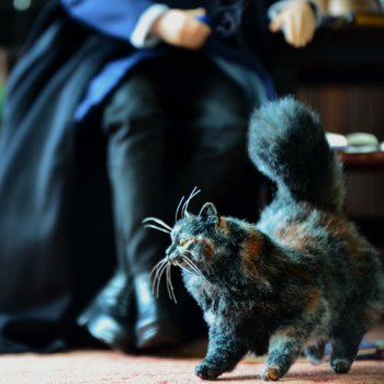 Когда свои грабли оказались кошмаром 💬