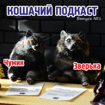 Кошачий подкаст 😻 (выпуск №1)