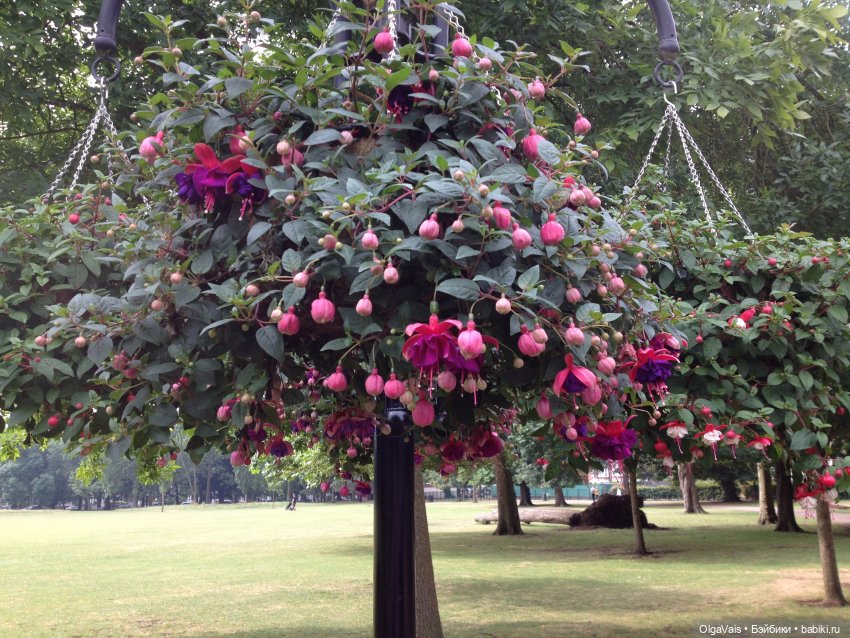 Знакомство с Лондоном... часть 1 (фото 3)