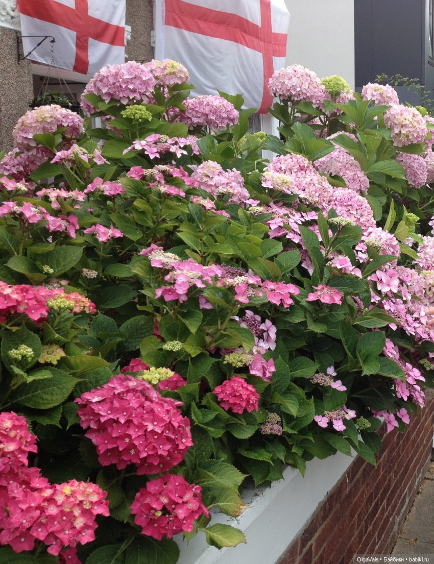 Знакомство с Лондоном... часть 1 (фото 2)