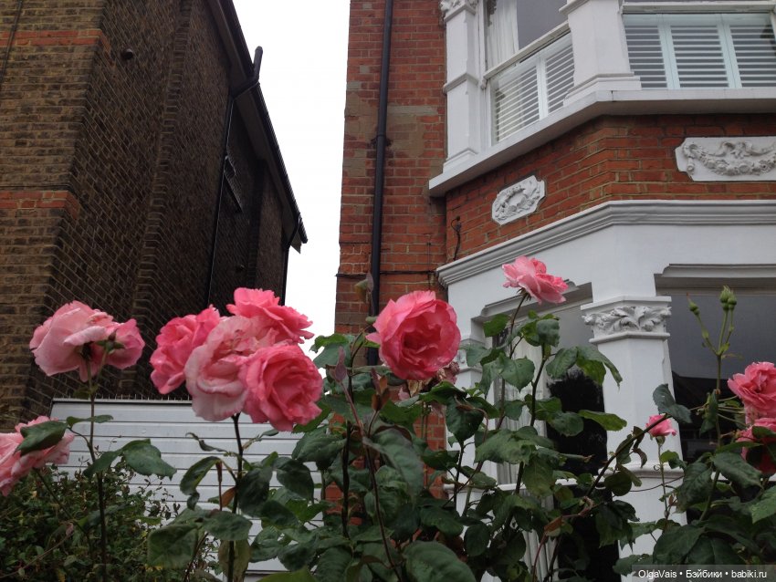 Знакомство с Лондоном... часть 1 (фото 5)