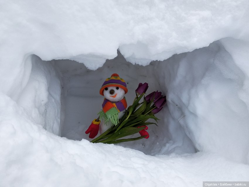 Зимние забавы продолжение