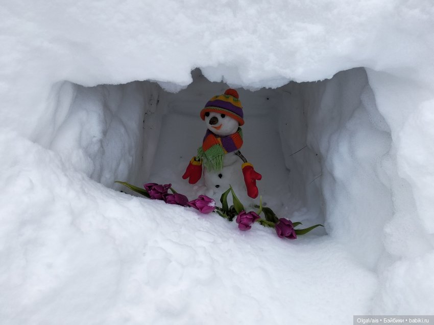 Зимние забавы продолжение