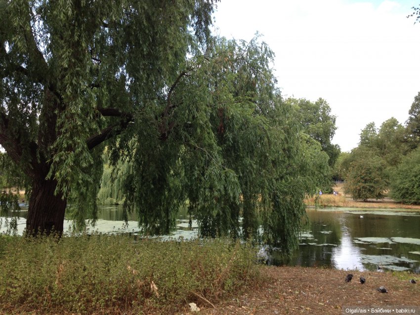 Знакомство с Лондоном часть 9 (фото 7)