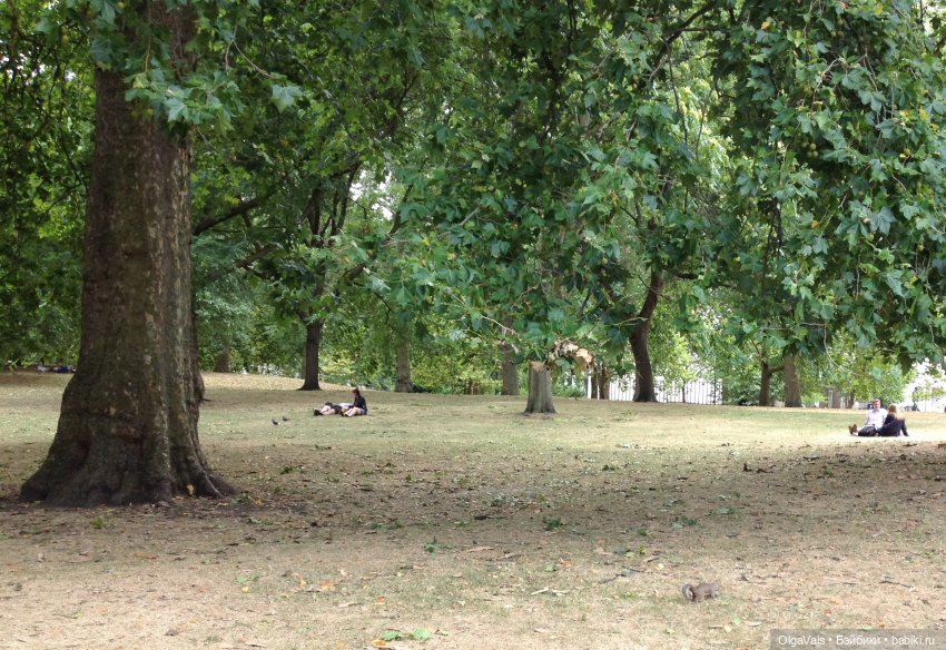 Знакомство с Лондоном часть 9 (фото 6)