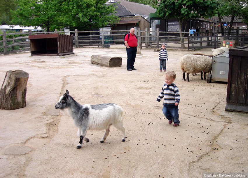Знакомство с Лондоном, часть 11