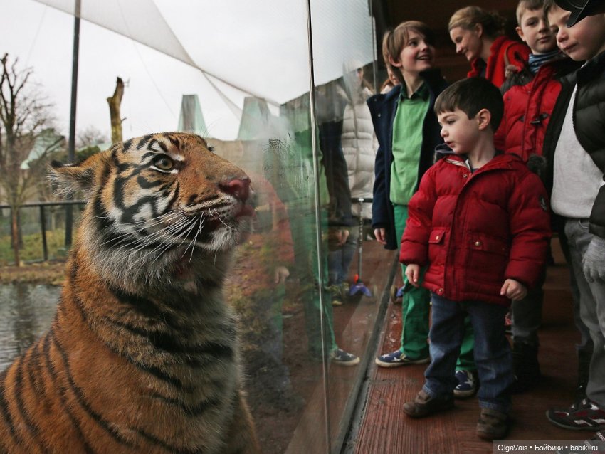 Знакомство с Лондоном, часть 11