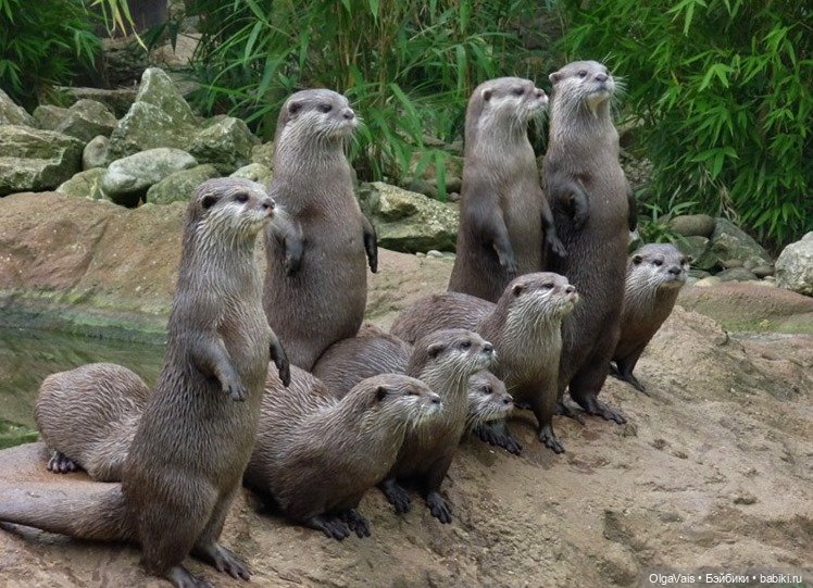 Знакомство с Лондоном, часть 11