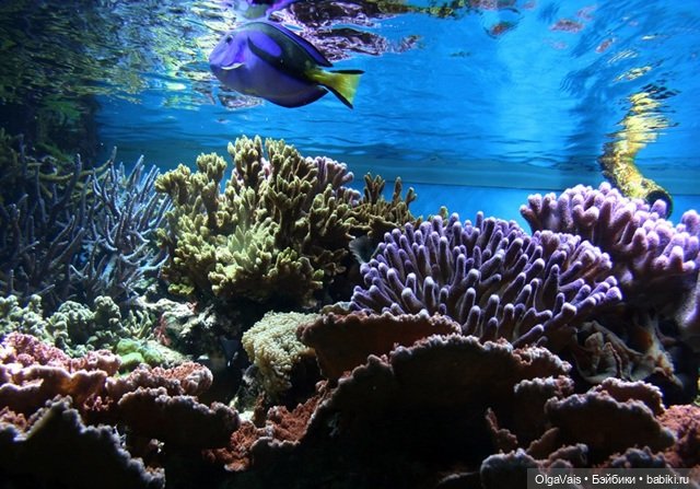 Знакомство с Лондоном, часть 11