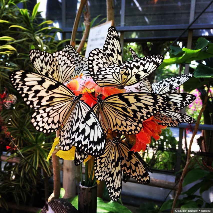 Знакомство с Лондоном, часть 11