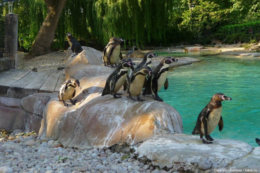 Знакомство с Лондоном, часть 11