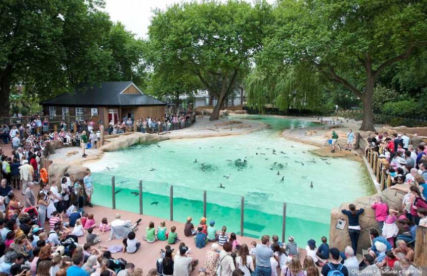 Знакомство с Лондоном, часть 11